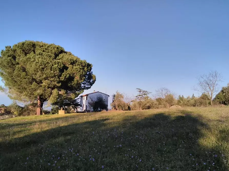Immagine 49 di Casa colonica in vendita  a Casciana Terme Lari