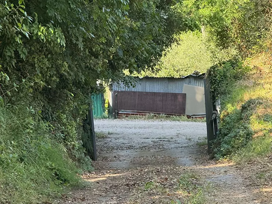 Immagine 50 di Casa colonica in vendita  a Casciana Terme Lari