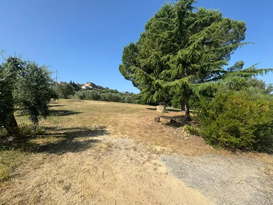 Immagine 41 di Casa colonica in vendita  a Casciana Terme Lari