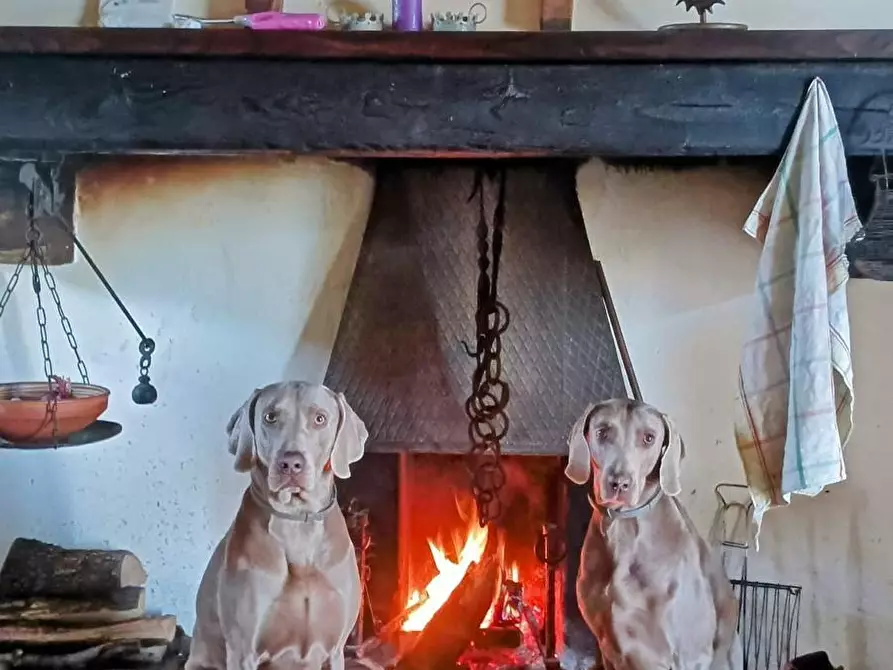 Immagine 53 di Casa colonica in vendita  a Casciana Terme Lari