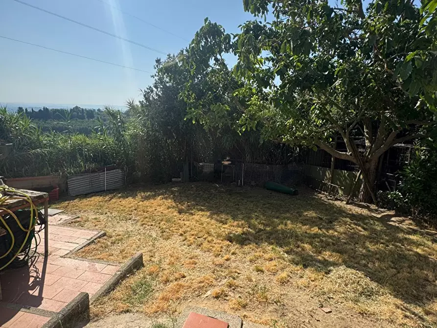 Immagine 19 di Casa colonica in vendita  a Casciana Terme Lari