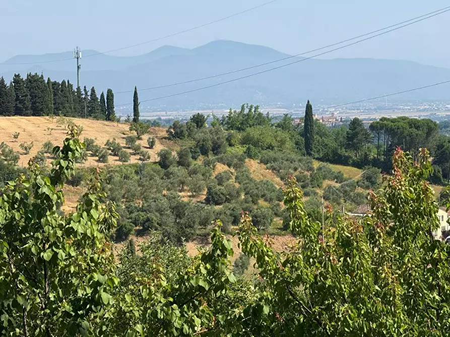 Immagine 44 di Casa colonica in vendita  a Casciana Terme Lari