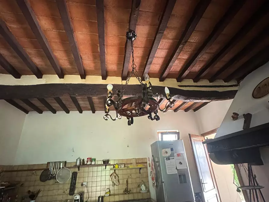 Immagine 23 di Casa colonica in vendita  a Casciana Terme Lari