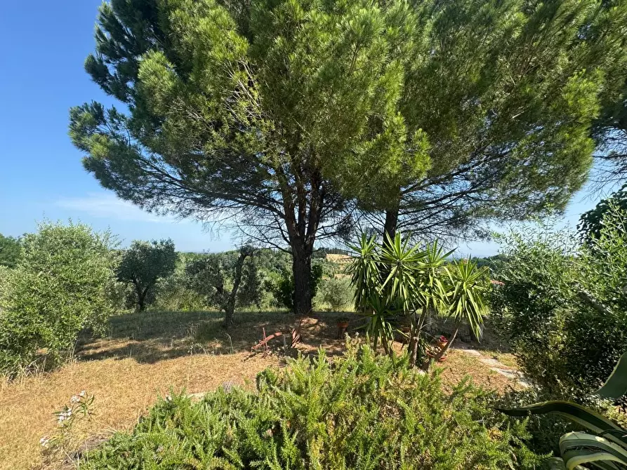 Immagine 46 di Casa colonica in vendita  a Casciana Terme Lari