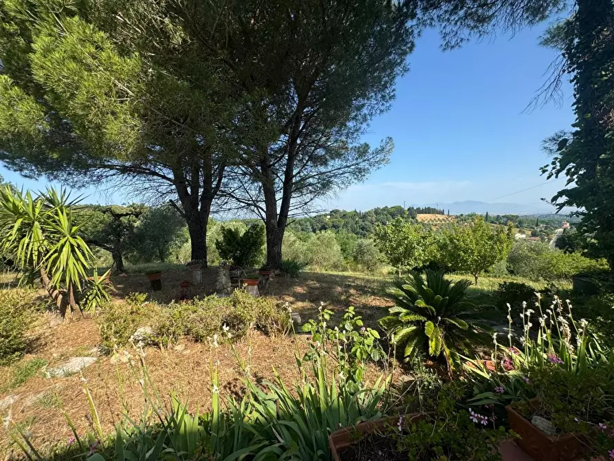 Immagine 40 di Casa colonica in vendita  a Casciana Terme Lari