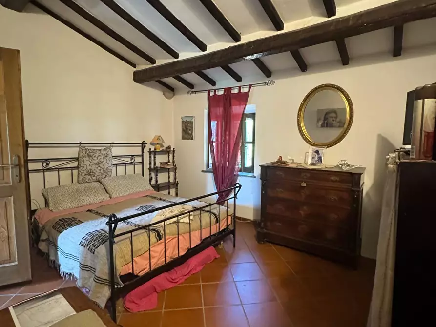 Immagine 25 di Casa colonica in vendita  a Casciana Terme Lari