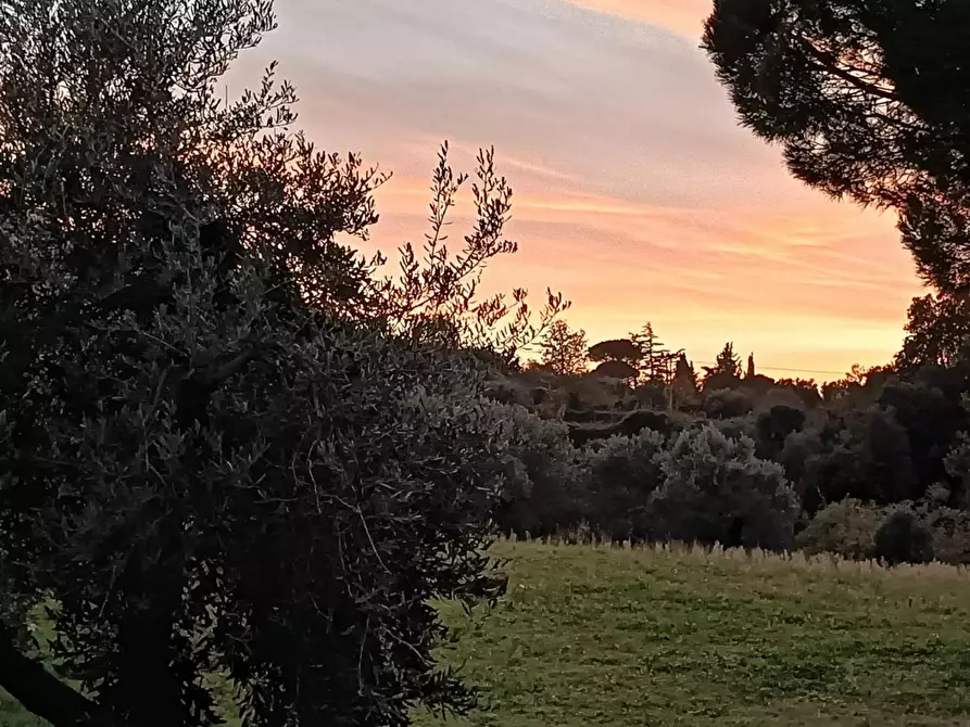 Immagine 51 di Casa colonica in vendita  a Casciana Terme Lari