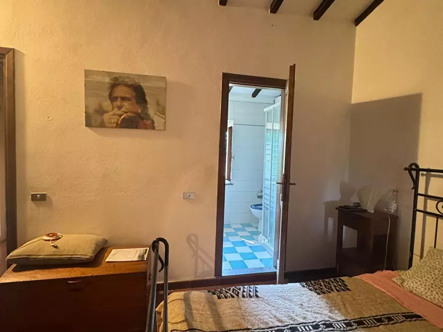 Immagine 28 di Casa colonica in vendita  a Casciana Terme Lari