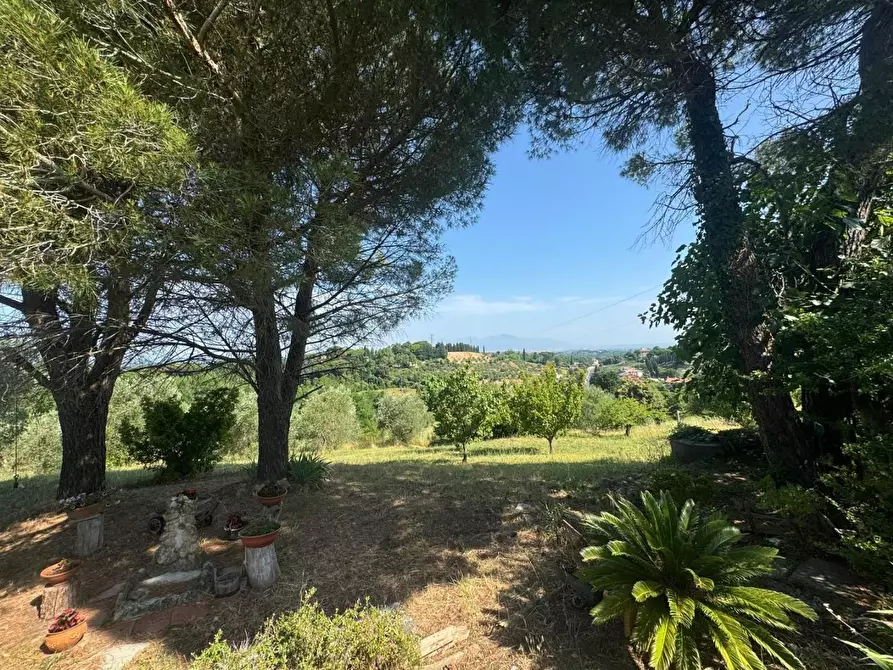 Immagine 47 di Casa colonica in vendita  a Casciana Terme Lari