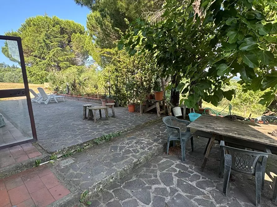 Immagine 38 di Casa colonica in vendita  a Casciana Terme Lari