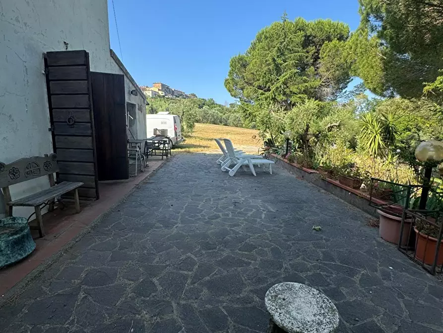 Immagine 4 di Casa colonica in vendita  a Casciana Terme Lari