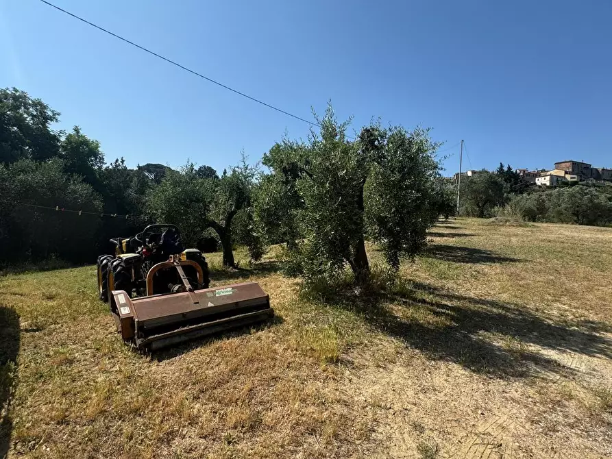 Immagine 43 di Casa colonica in vendita  a Casciana Terme Lari