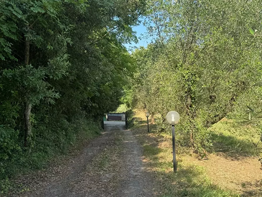 Immagine 48 di Casa colonica in vendita  a Casciana Terme Lari