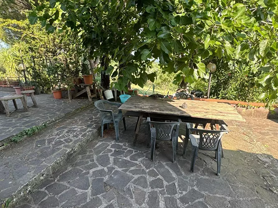 Immagine 39 di Casa colonica in vendita  a Casciana Terme Lari