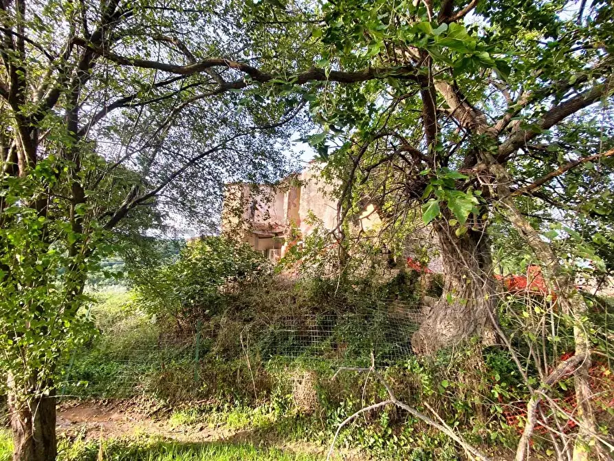 Immagine 17 di Rustico / casale in vendita  a Roccastrada