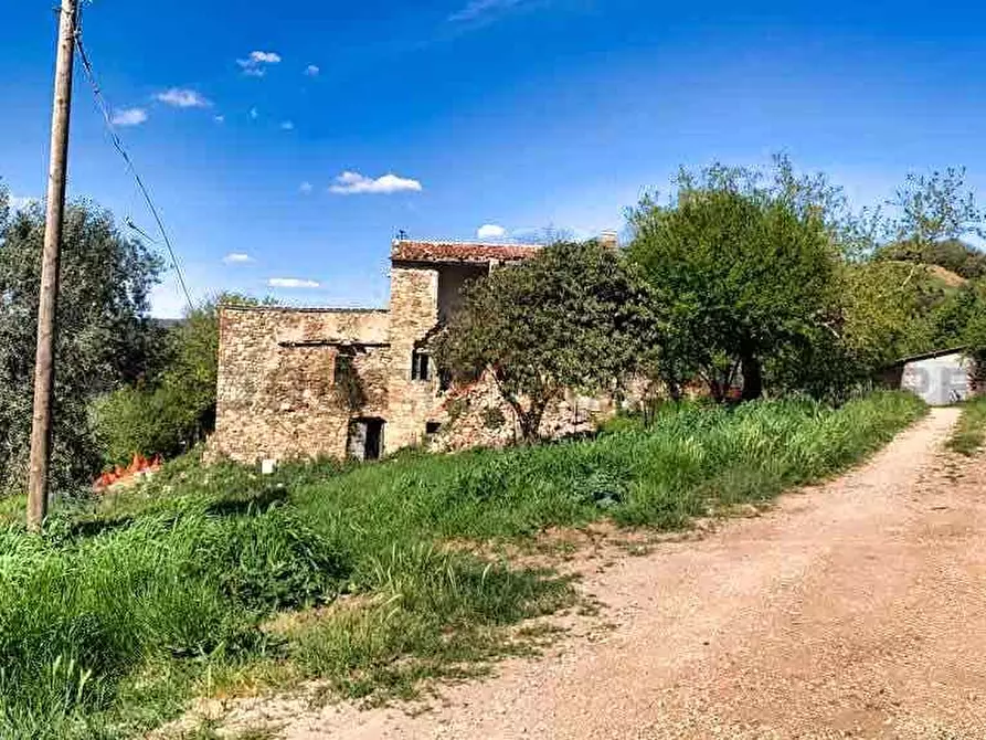 Immagine 3 di Rustico / casale in vendita  a Roccastrada