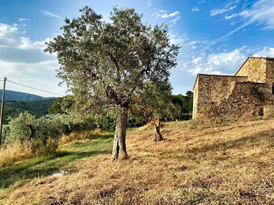 Immagine 9 di Rustico / casale in vendita  a Roccastrada