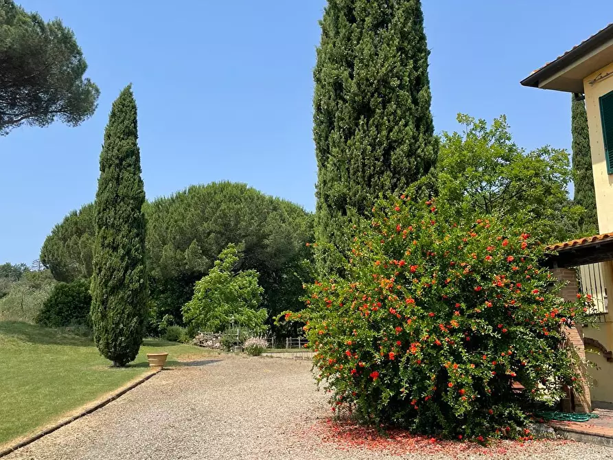 Immagine 13 di Casa colonica in vendita  a Crespina Lorenzana