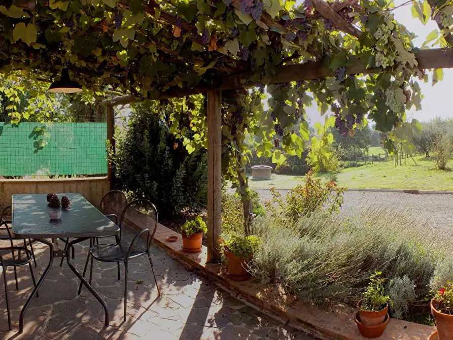 Immagine 10 di Casa colonica in vendita  a Crespina Lorenzana