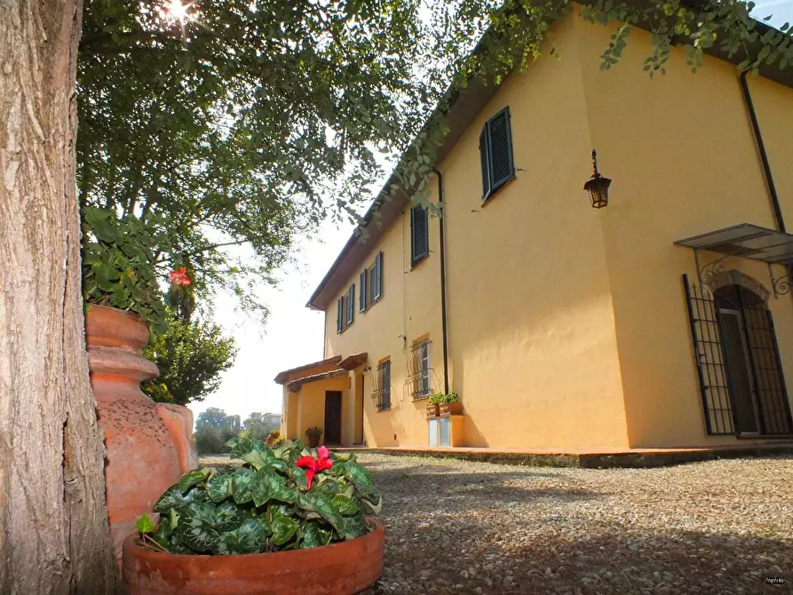 Immagine 4 di Casa colonica in vendita  a Crespina Lorenzana