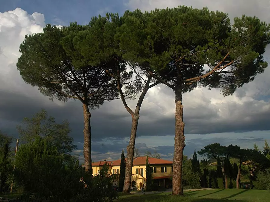 Immagine 9 di Casa colonica in vendita  a Crespina Lorenzana