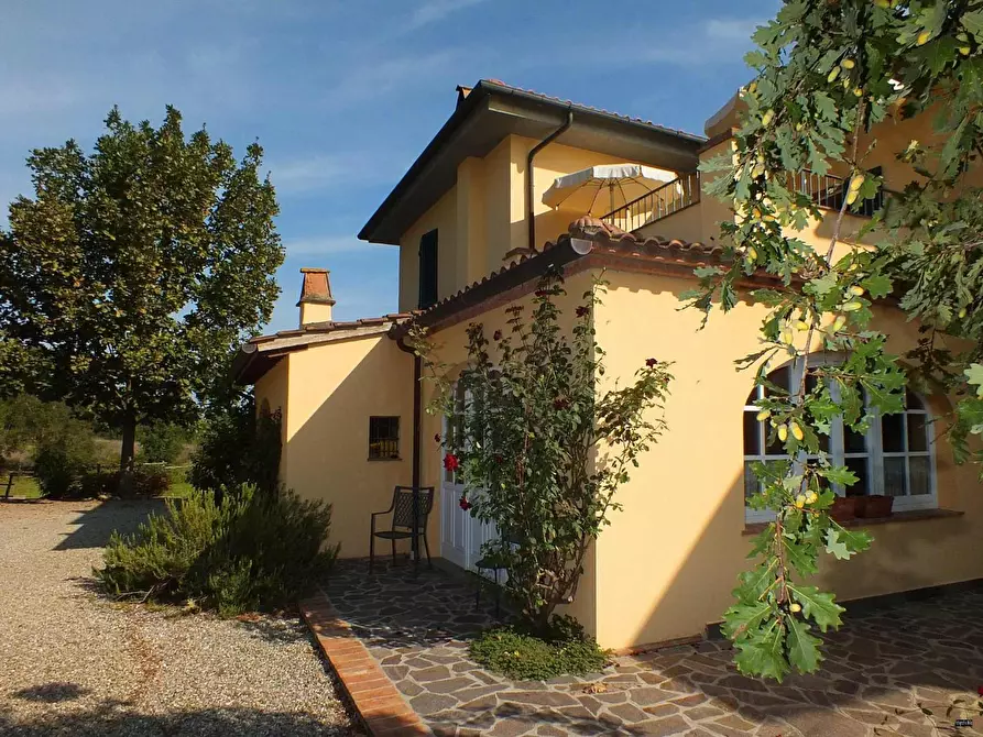 Immagine 3 di Casa colonica in vendita  a Crespina Lorenzana