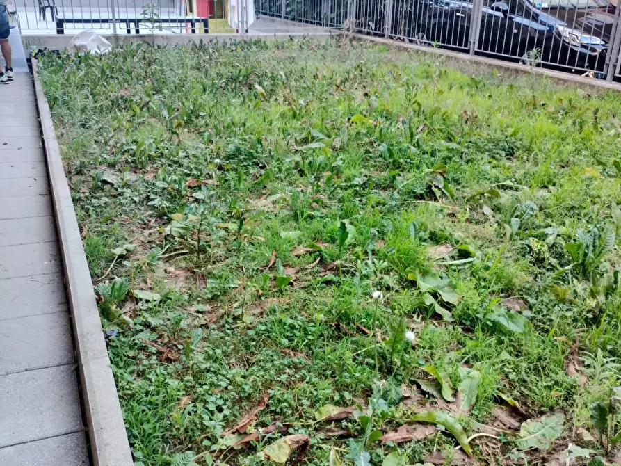 Immagine 15 di Appartamento in vendita  a Reggio Nell'emilia