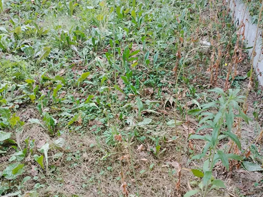 Immagine 16 di Appartamento in vendita  a Reggio Nell'emilia