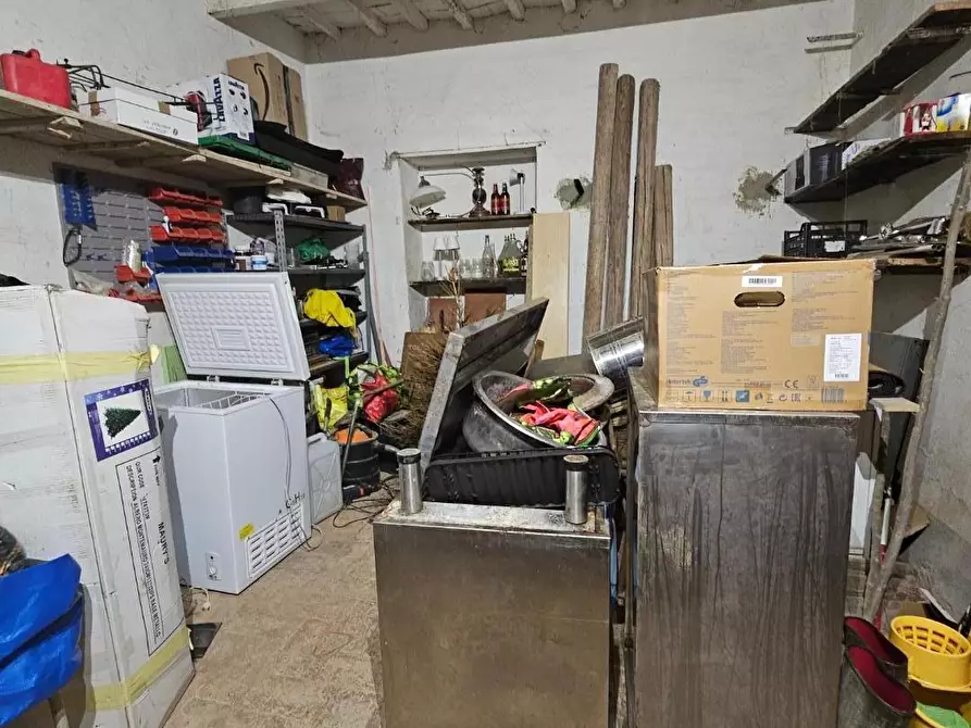 Immagine 19 di Appartamento in vendita  a Collesalvetti