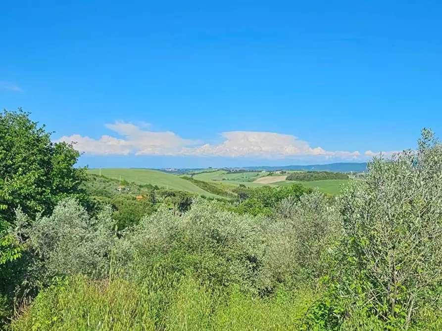 Immagine 21 di Appartamento in vendita  a Collesalvetti