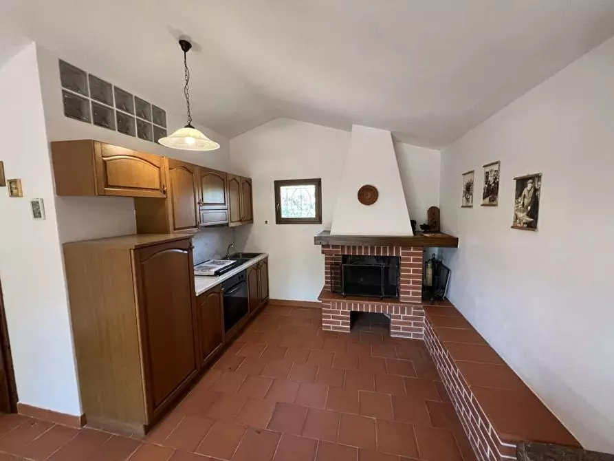 Immagine 7 di Terreno agricolo in vendita  a Castagneto Carducci