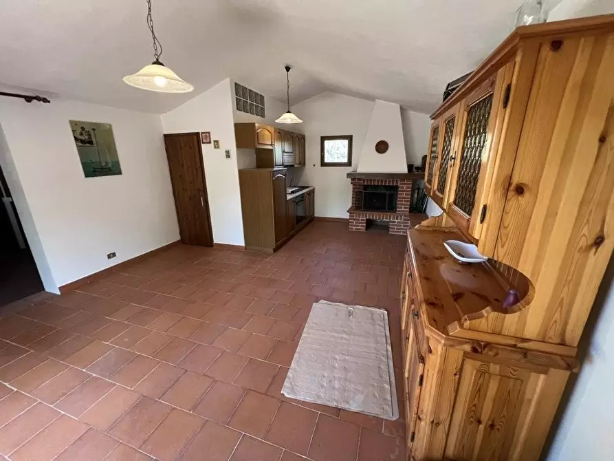 Immagine 6 di Terreno agricolo in vendita  a Castagneto Carducci