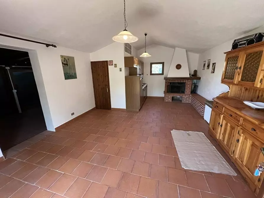 Immagine 4 di Terreno agricolo in vendita  a Castagneto Carducci