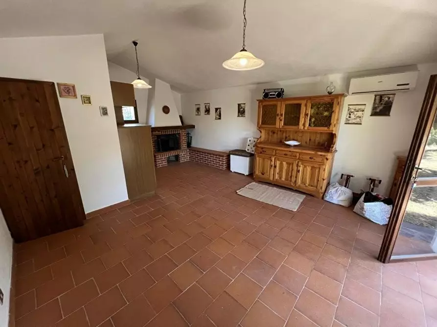 Immagine 10 di Terreno agricolo in vendita  a Castagneto Carducci