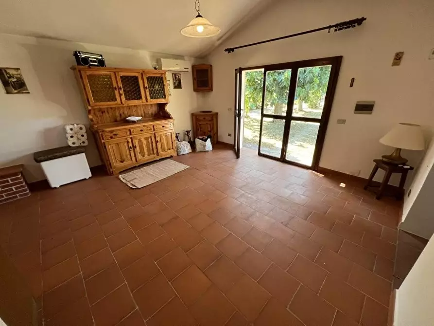 Immagine 11 di Terreno agricolo in vendita  a Castagneto Carducci