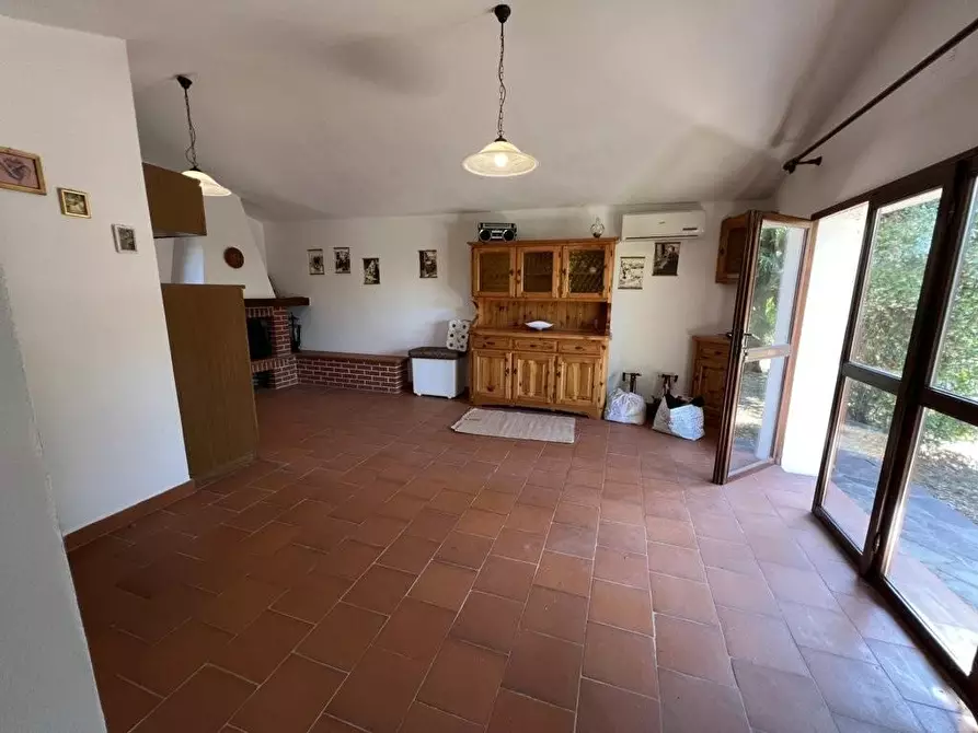 Immagine 9 di Terreno agricolo in vendita  a Castagneto Carducci