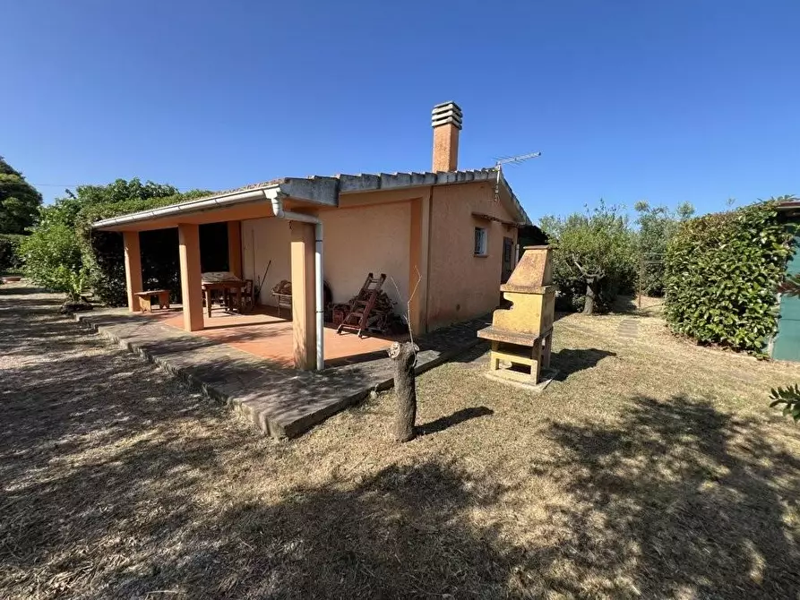 Immagine 2 di Terreno agricolo in vendita  a Castagneto Carducci