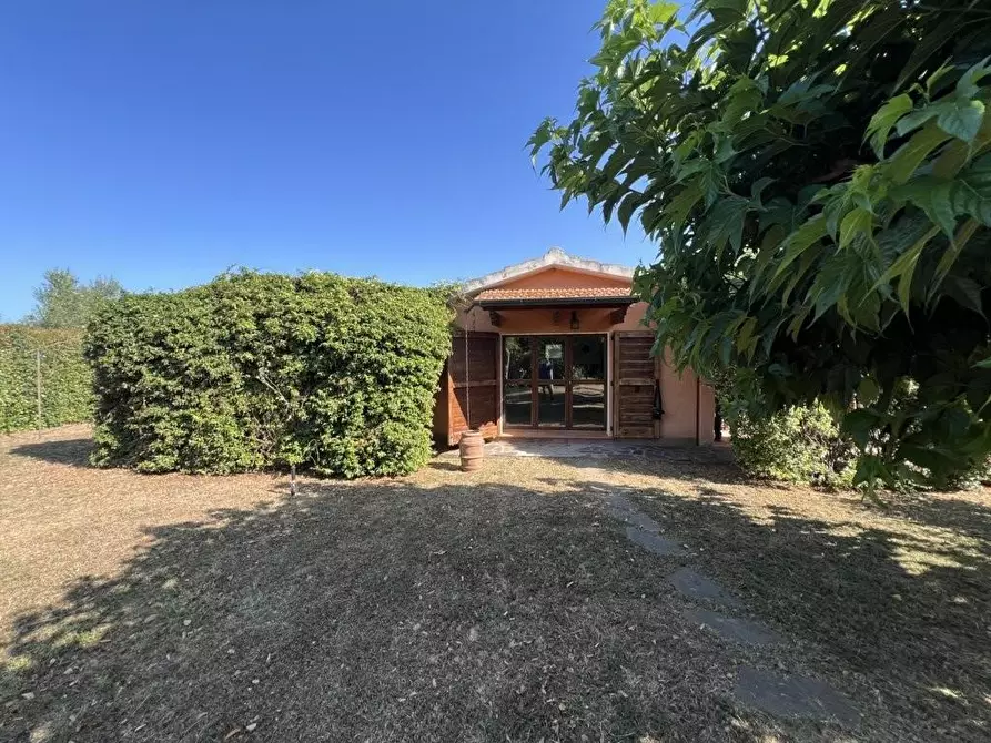 Immagine 12 di Terreno agricolo in vendita  a Castagneto Carducci