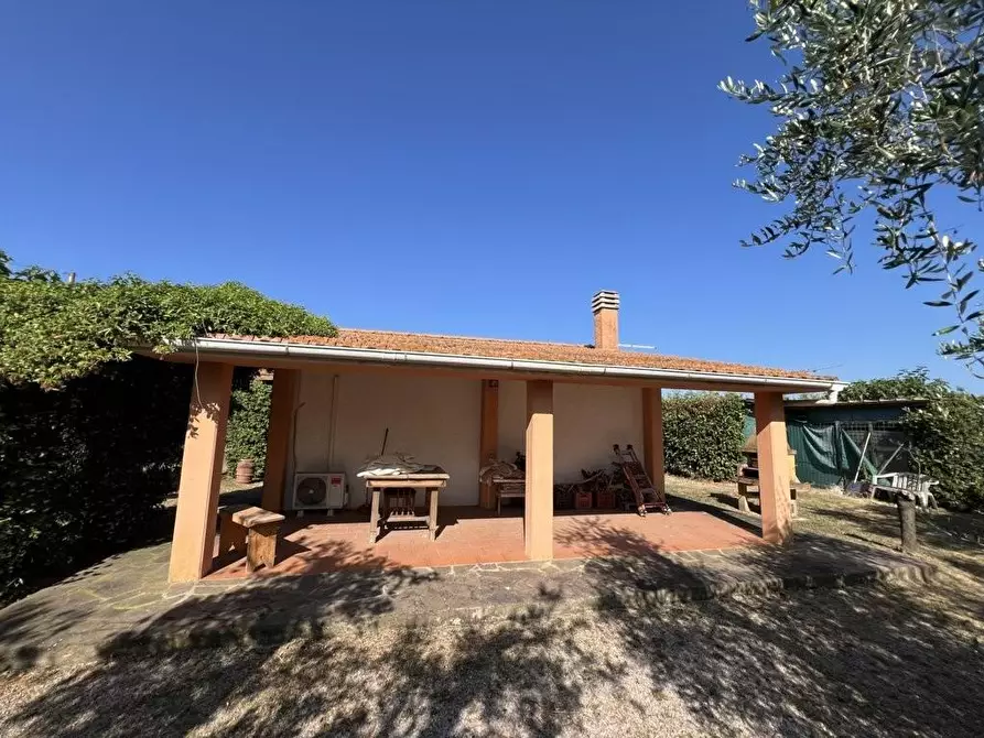 Immagine 3 di Terreno agricolo in vendita  a Castagneto Carducci