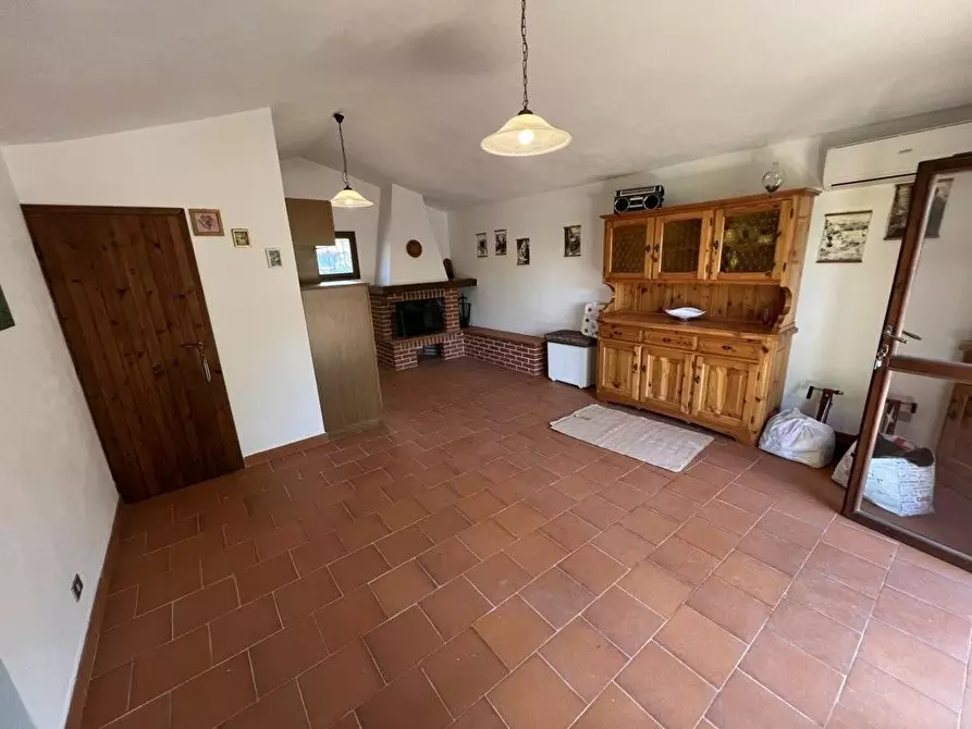 Immagine 5 di Terreno agricolo in vendita  a Castagneto Carducci