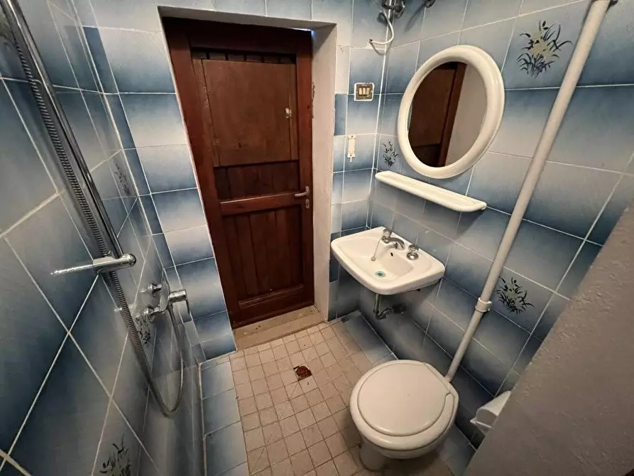 Immagine 8 di Terreno agricolo in vendita  a Castagneto Carducci