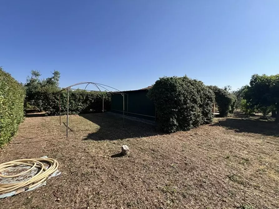 Immagine 15 di Terreno agricolo in vendita  a Castagneto Carducci