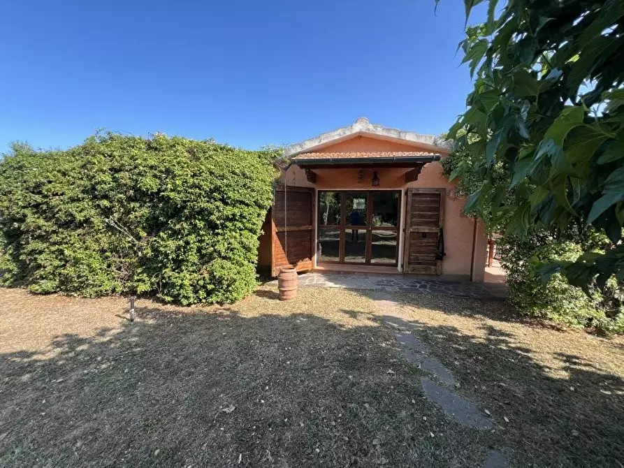 Immagine 13 di Terreno agricolo in vendita  a Castagneto Carducci