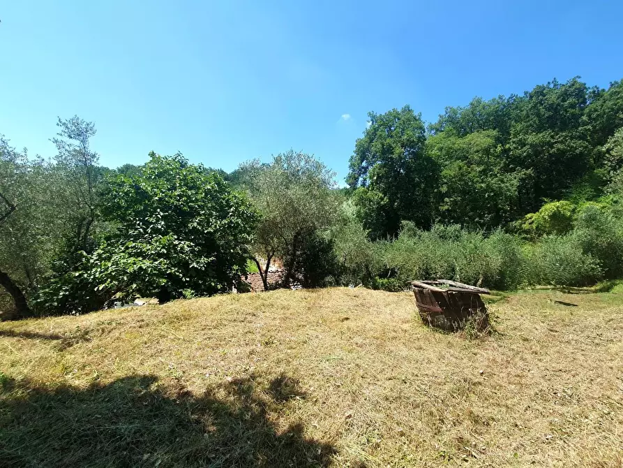 Immagine 50 di Casa semindipendente in vendita  a Lucca