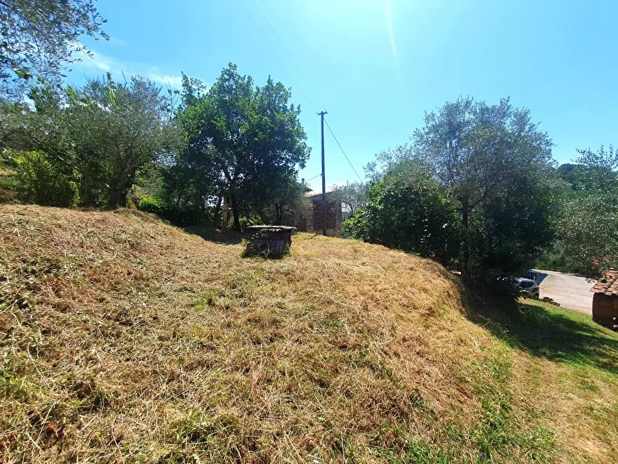 Immagine 52 di Casa semindipendente in vendita  a Lucca