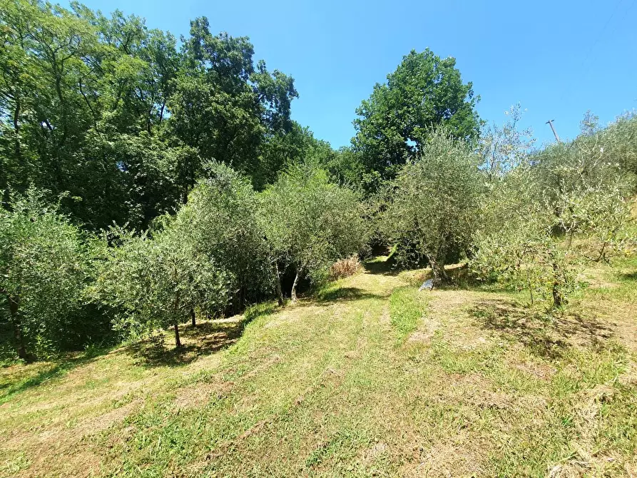 Immagine 51 di Casa semindipendente in vendita  a Lucca