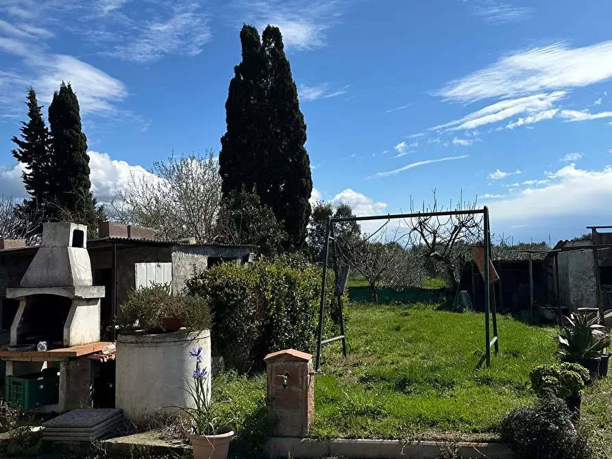 Immagine 3 di Appartamento in vendita  a Campiglia Marittima
