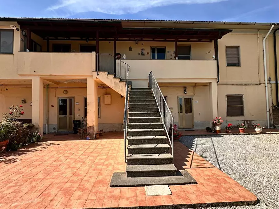 Immagine 9 di Appartamento in vendita  a Campiglia Marittima