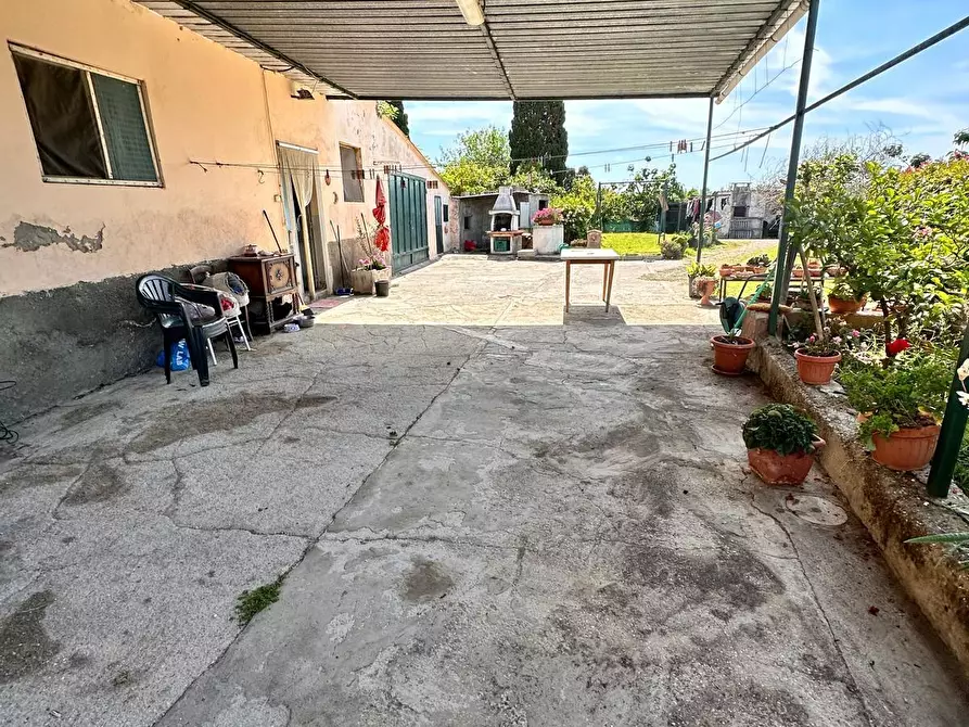Immagine 4 di Appartamento in vendita  a Campiglia Marittima