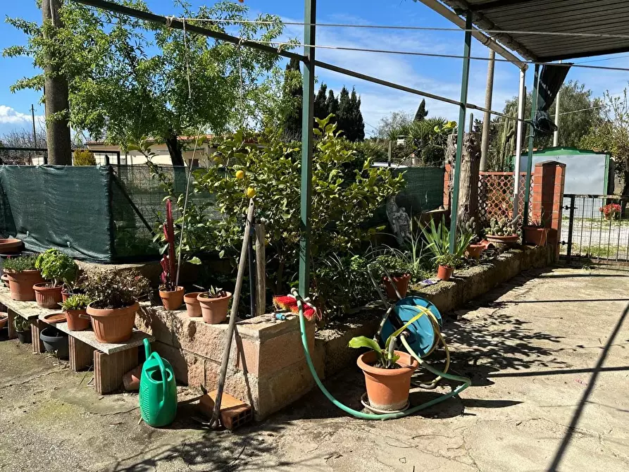 Immagine 10 di Appartamento in vendita  a Campiglia Marittima